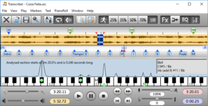 Transcribe ventana principal